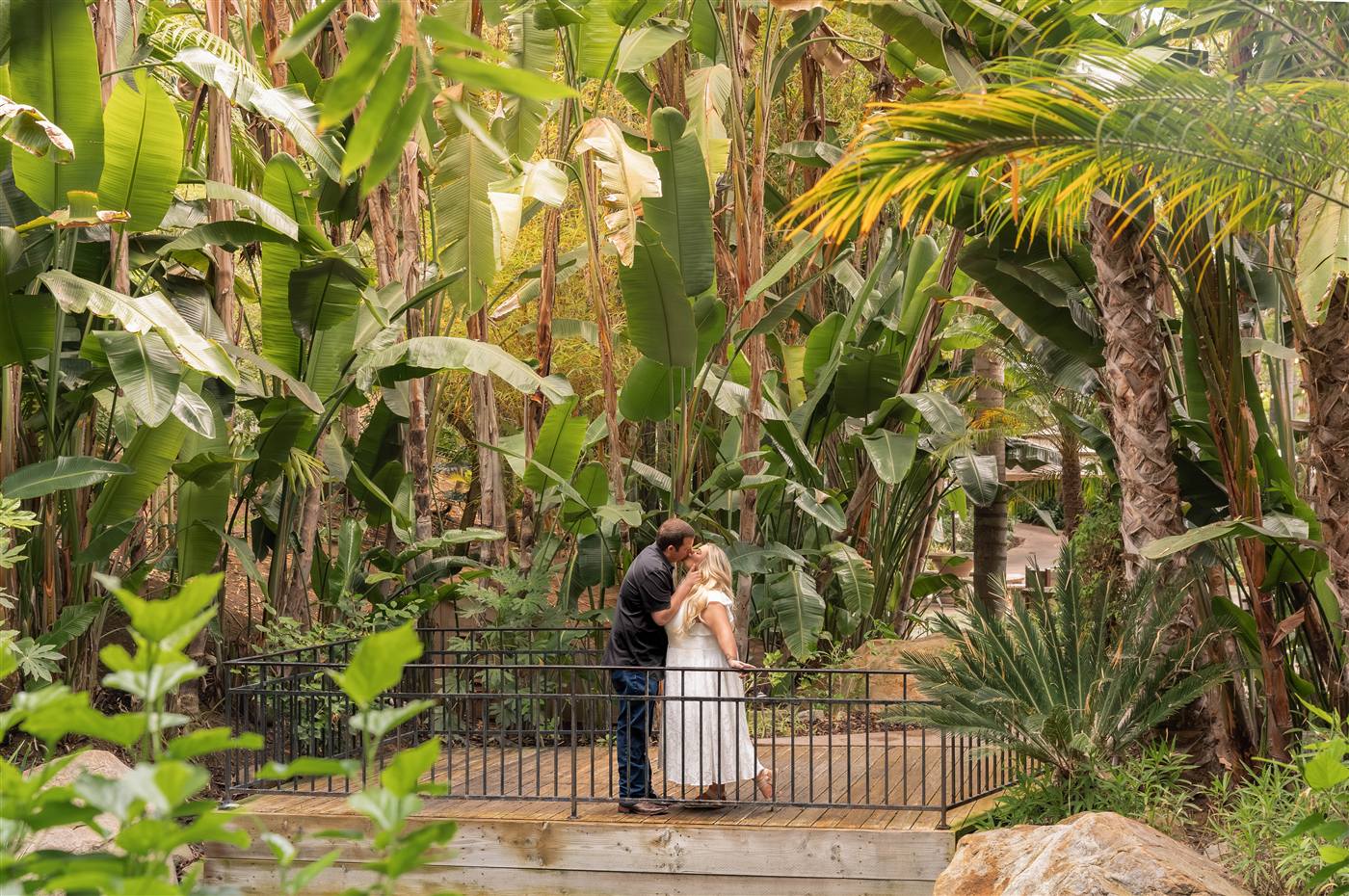 Couple sharing a kiss on a wooden footbridge surrounded by lush tropical banana palms